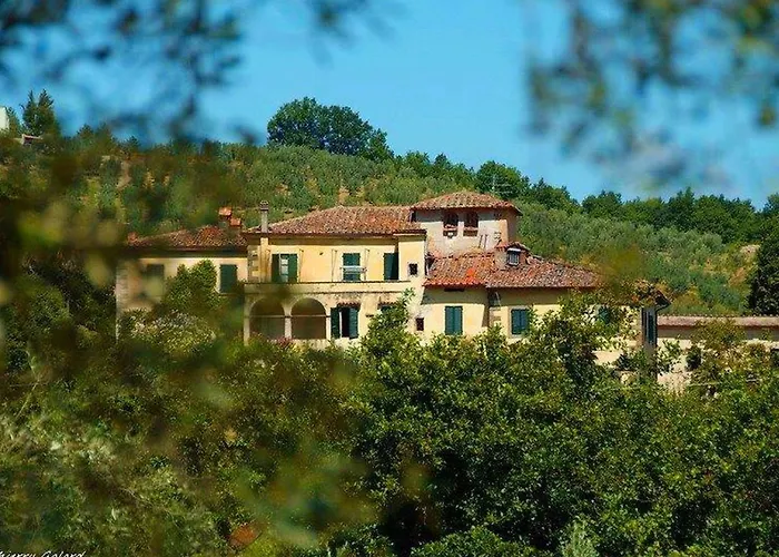 Rustic Farmhouse Stay, Carmignano